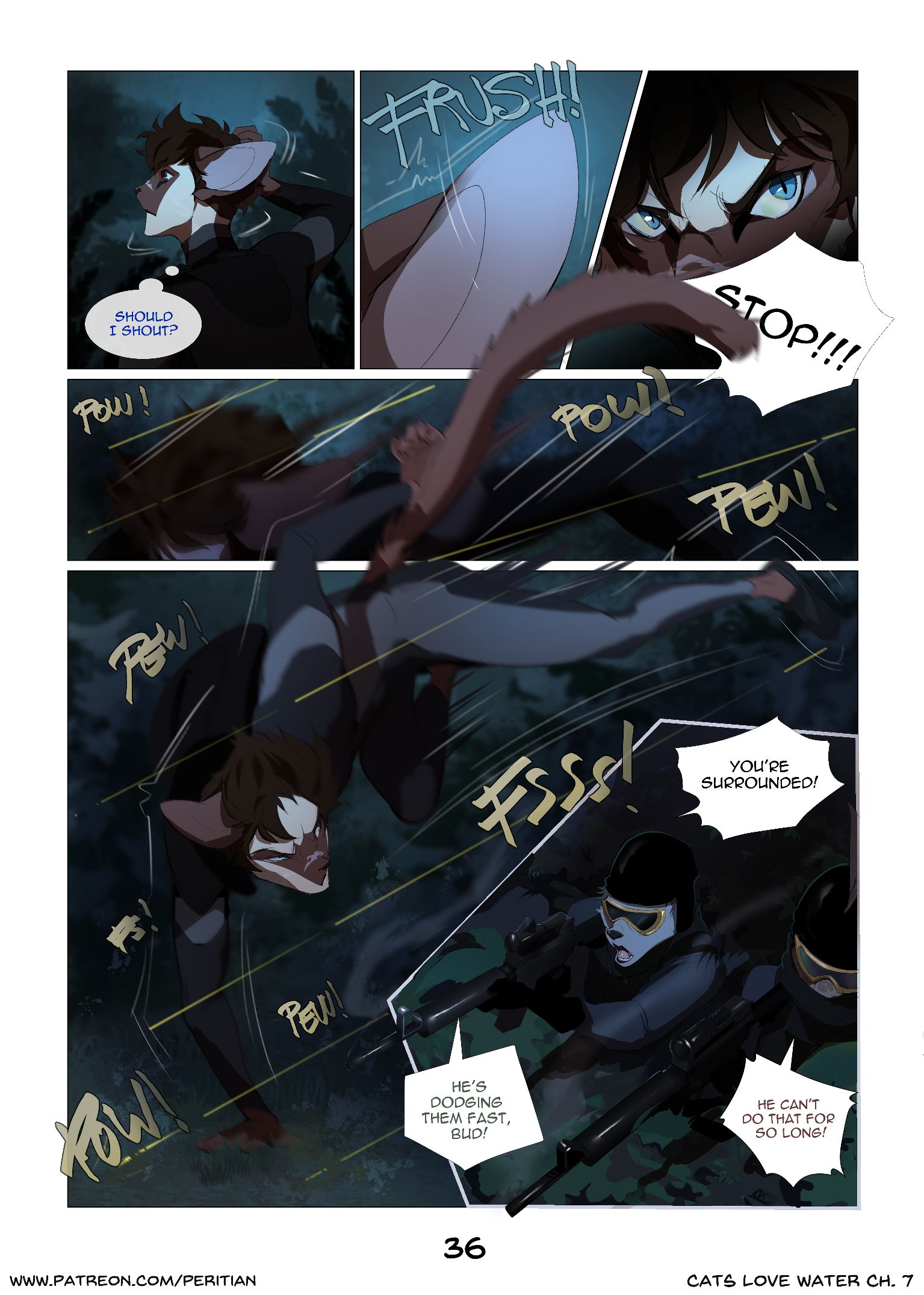 Page 37